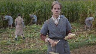 13. Колония Дигнидад (2015)