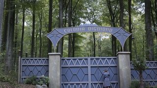 17. Колония Дигнидад (2015)