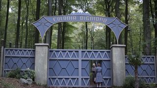 54. Колония Дигнидад (2015)