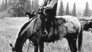 29. Легенды осени (1994)