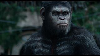 5. Планета обезьян: Революция (2014)