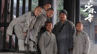 13. Шаолинь (2011)
