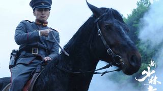 16. Шаолинь (2011)