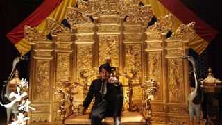 17. Шаолинь (2011)