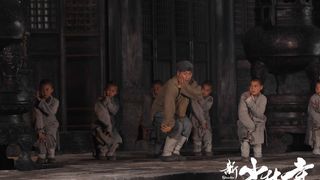 18. Шаолинь (2011)