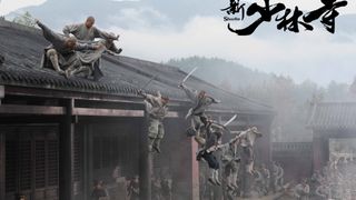 21. Шаолинь (2011)