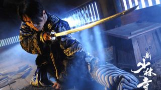 29. Шаолинь (2011)