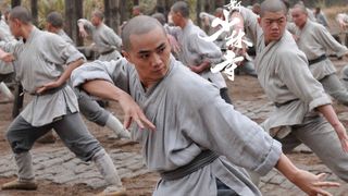 59. Шаолинь (2011)