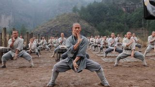 6. Шаолинь (2011)