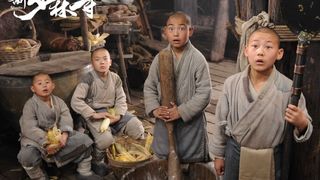 65. Шаолинь (2011)