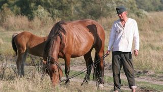 17. Жила-была одна баба (2011)