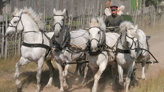 18. Жила-была одна баба (2011)