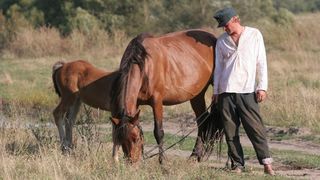 48. Жила-была одна баба (2011)