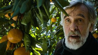 14. Мандарины (2013)