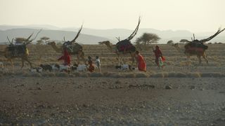 10. Цветок пустыни (2009)