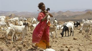 19. Цветок пустыни (2009)