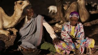 22. Цветок пустыни (2009)