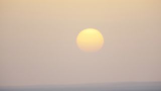 24. Цветок пустыни (2009)