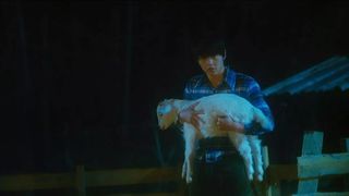 61. Мальчик-оборотень (2012)