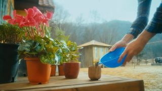 69. Мальчик-оборотень (2012)