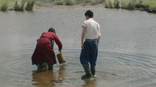 132. Тотем волка (2015)
