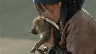 14. Тотем волка (2015)