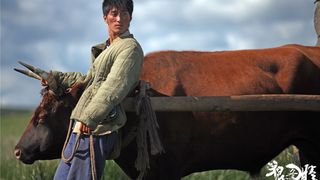 42. Тотем волка (2015)