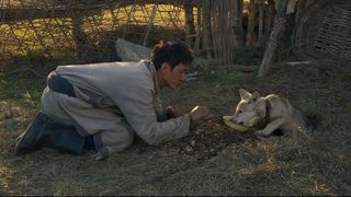 83. Тотем волка (2015)