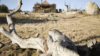 142. Месть от кутюр (2015)