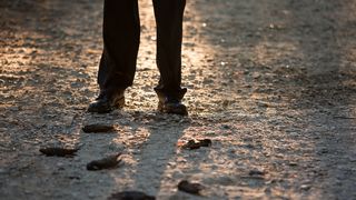 23. Тебя никогда здесь не было (2017)