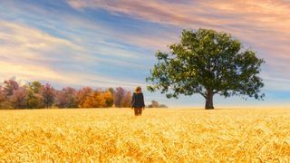 49. Милые кости (2009)