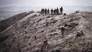 63. Линия фронта (2011)