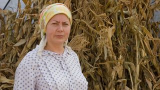 91. Огни притона (2011)