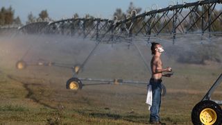 29. В диких условиях (2007)