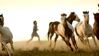 43. В диких условиях (2007)