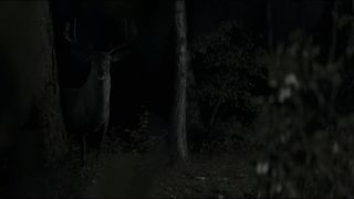 49. Невидимый гость (2016)