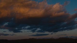 117. Под покровом ночи (2016)