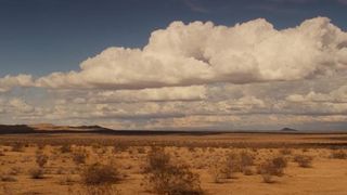 118. Под покровом ночи (2016)