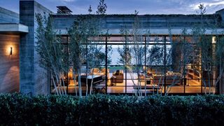 25. Под покровом ночи (2016)