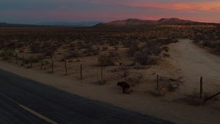 36. Под покровом ночи (2016)