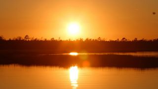 37. Дневник памяти (2004)