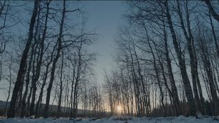 77. Выживший (2015)