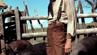 35. Непрощенный (1992)