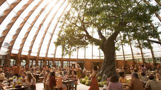 19. Дивергент, глава 2: Инсургент (2015)