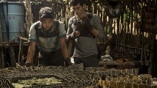 36. Бегущий в лабиринте (2014)