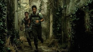 39. Бегущий в лабиринте (2014)