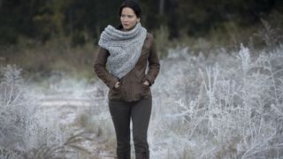 25. Голодные игры: И вспыхнет пламя (2013)