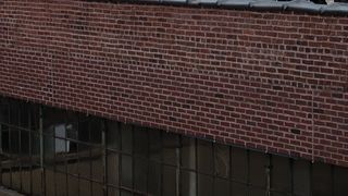 137. Дивергент (2014)