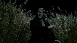 150. Гарри Поттер и Принц-полукровка (2009)