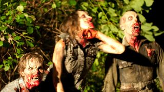 24. Земля вампиров (2010)